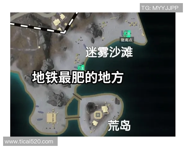 和平精英新手必看攻略全面解析助你快速提升游戏实力