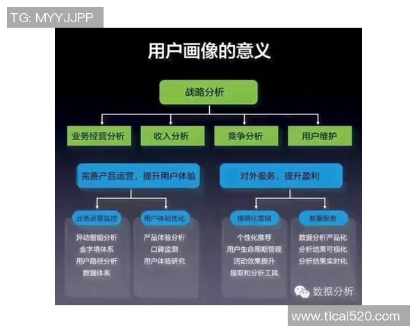 深入探讨北京排球队力量表现的数据分析与提升策略