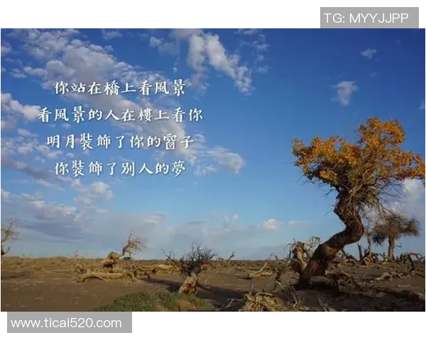 陈娜专访：从初学者到顶尖攀岩者的心路历程与成长故事