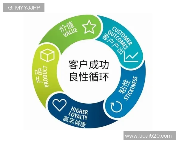 如何通过精准的营销策划实现品牌价值提升与市场份额扩展