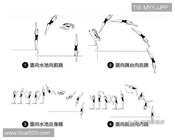 游泳比赛规则全解析：从起跳到终点的每一个细节与要求