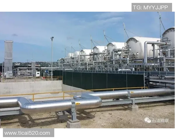 LNG的快速进攻策略解析与市场前景展望